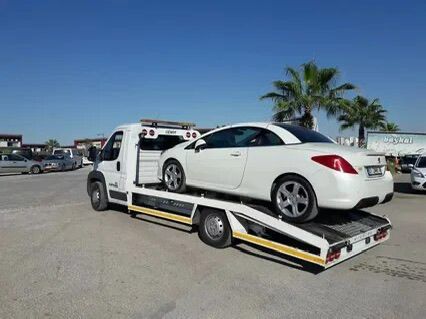 Dayıoğlu Auto Oto Kurtarma